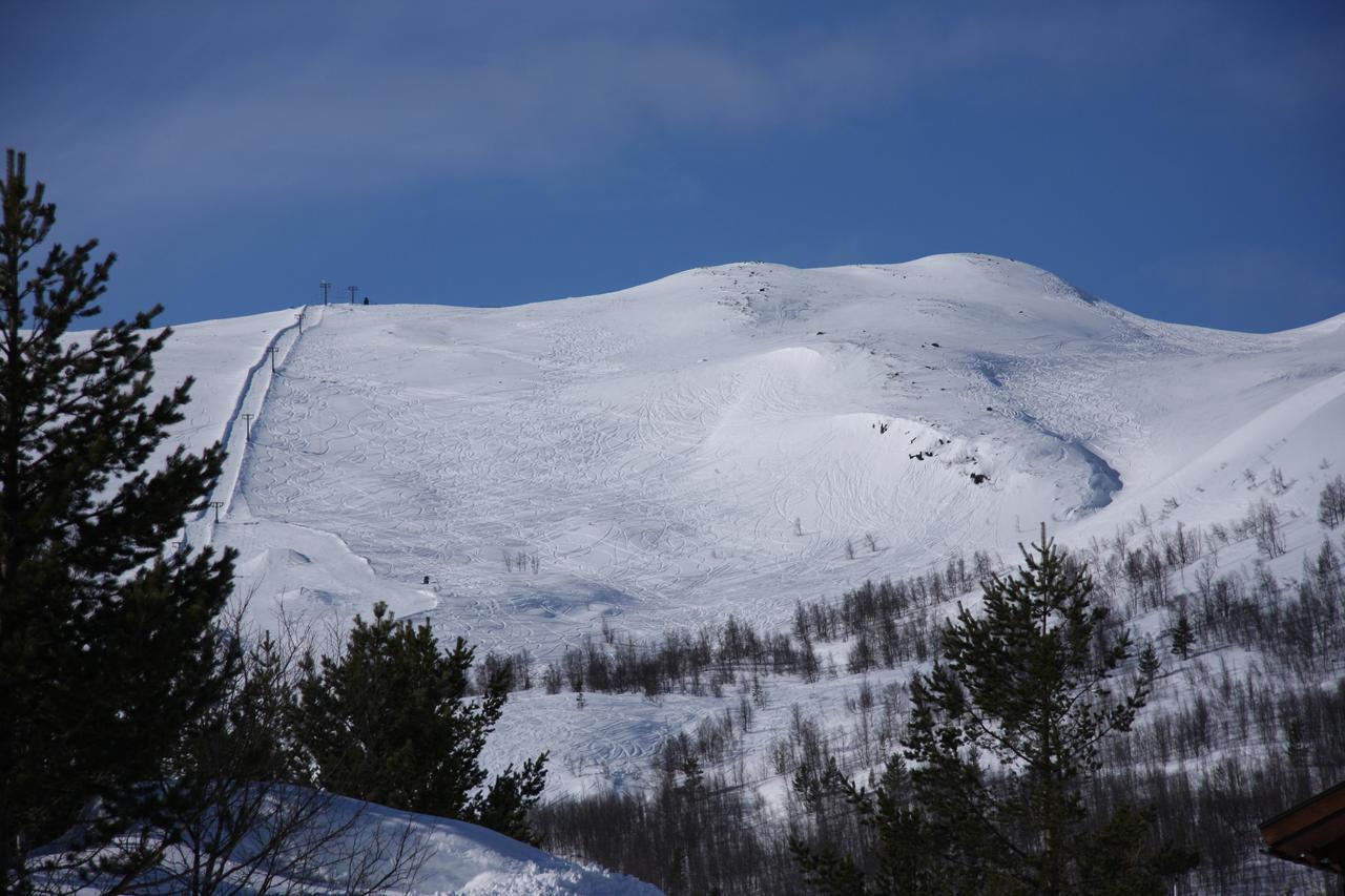 Lemonsjo Fjellstue Og Hyttegrend Randsverk Экстерьер фото