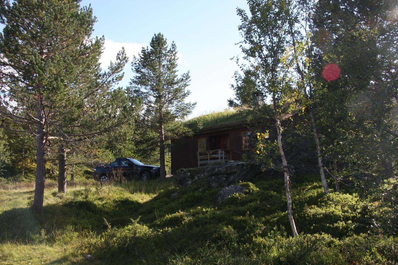Lemonsjo Fjellstue Og Hyttegrend Randsverk Экстерьер фото