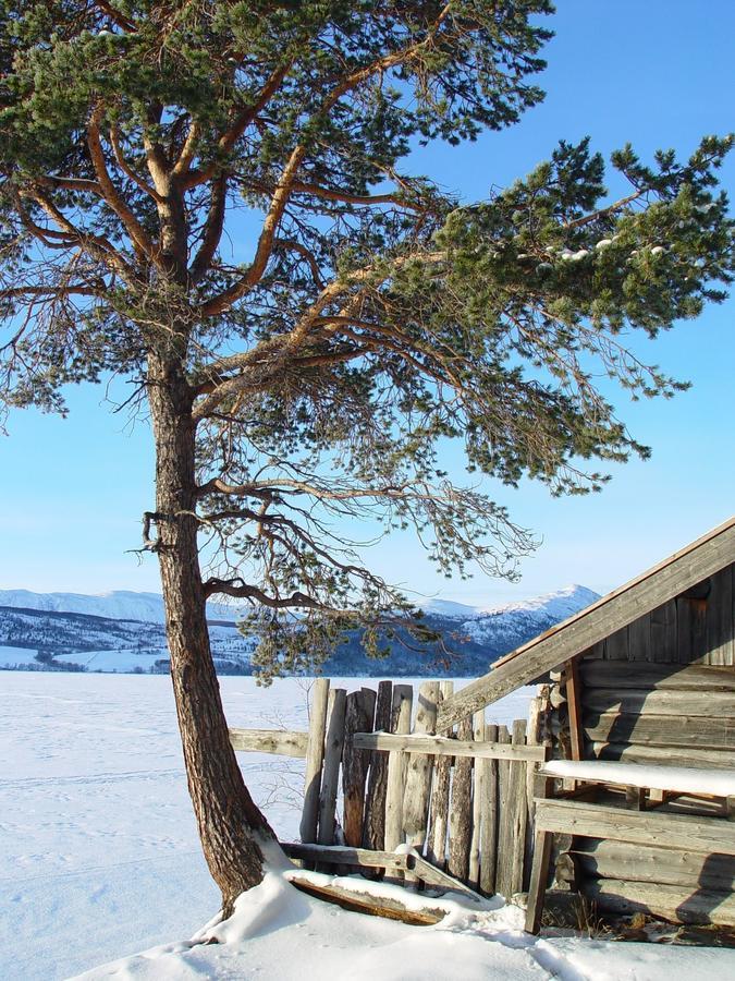 Lemonsjo Fjellstue Og Hyttegrend Randsverk Экстерьер фото